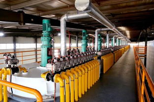 韋爾斯4.0智慧工廠震撼經(jīng)銷商，技術(shù)開發(fā)共創(chuàng)新篇章